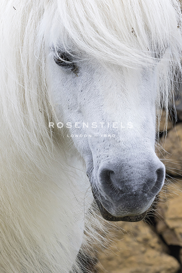 Close Up - Martin Zwick