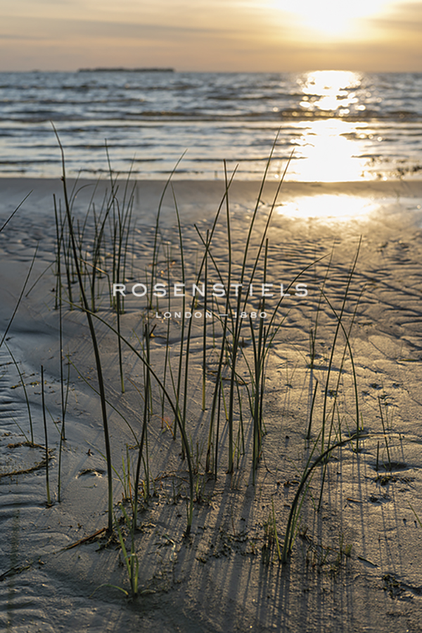 Rustic Sands - Drift - Mike Toy