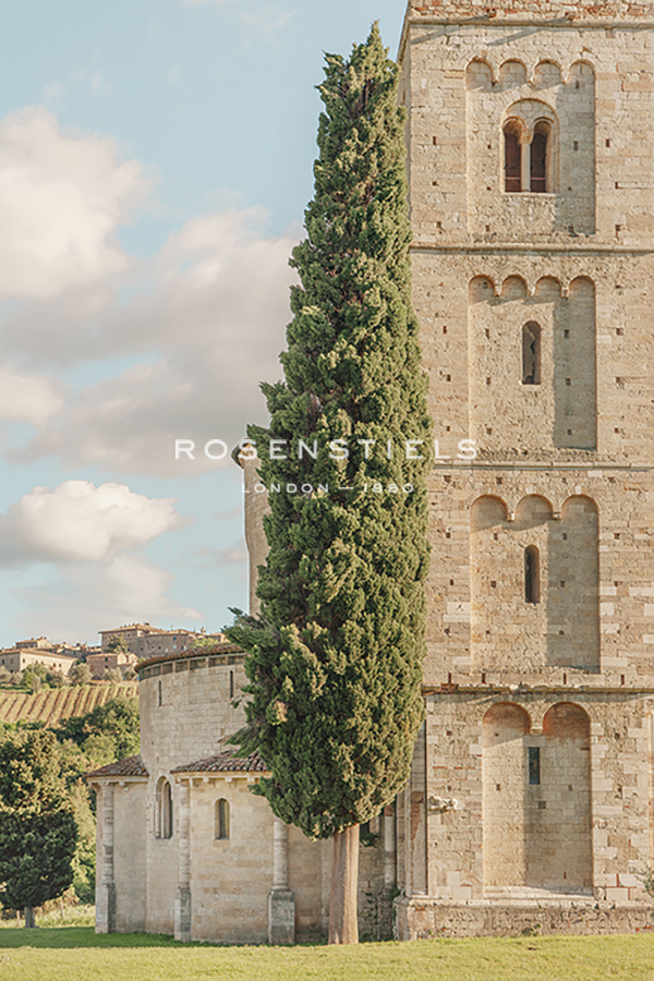 Tall and Grand - Irene Suchocki