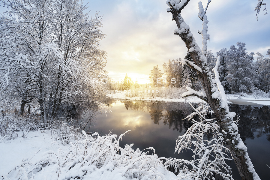 Ethereal Snow - Andreas Stridsberg