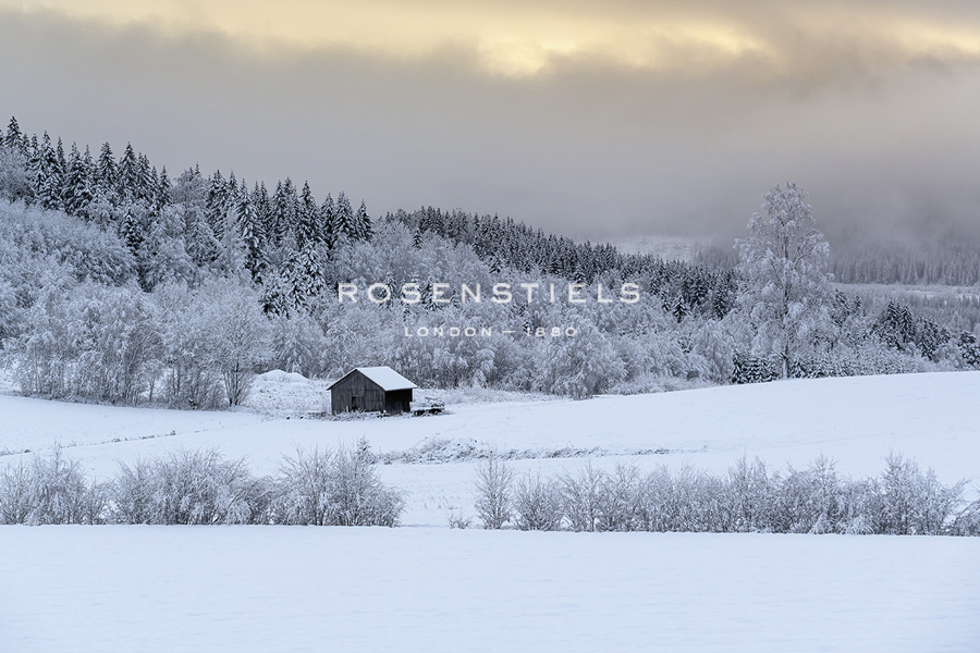 Shelter Ahead - Andreas Stridsberg