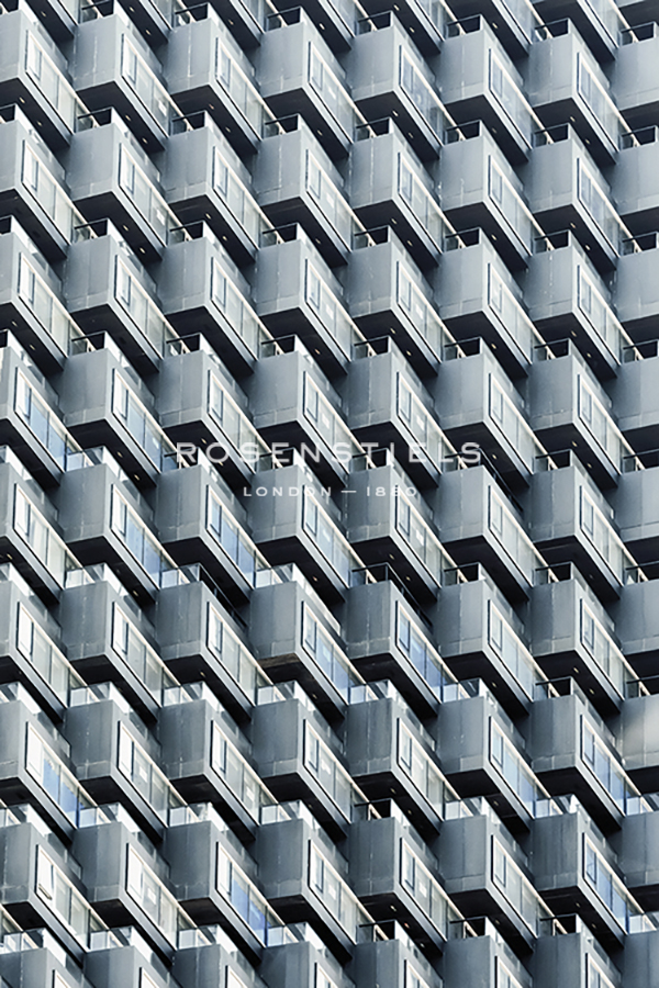 Urban Repetition - Ash Camas