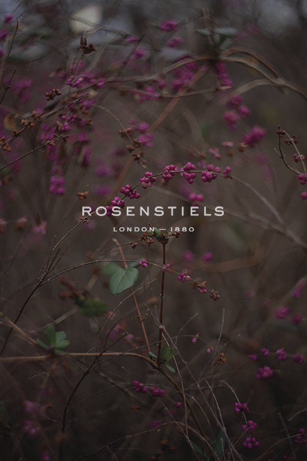 Opulent Nature - Grown - Sarah Hart Morgan