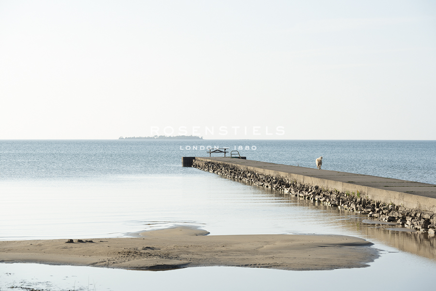 Jetty Adventure - Mike Toy