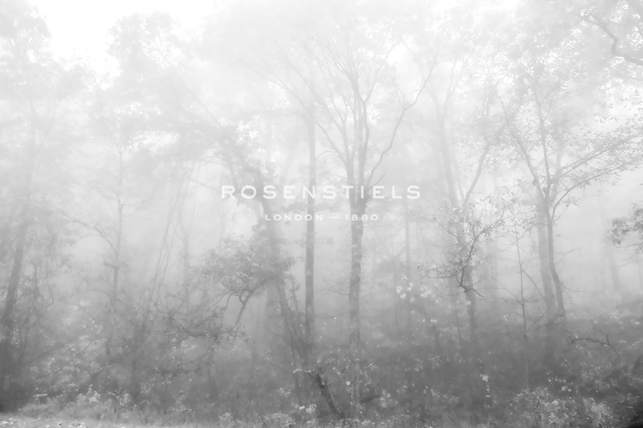 Forest Melody - Paige Craig