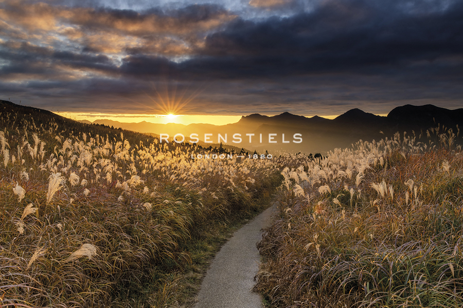 Sunset Pathway - Tom Mackie