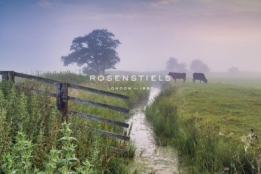 Marsh Grazing - Tom Mackie
