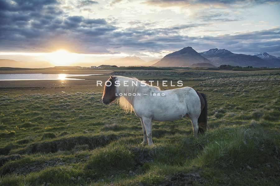 Summer Isle - Andreas Stridsberg