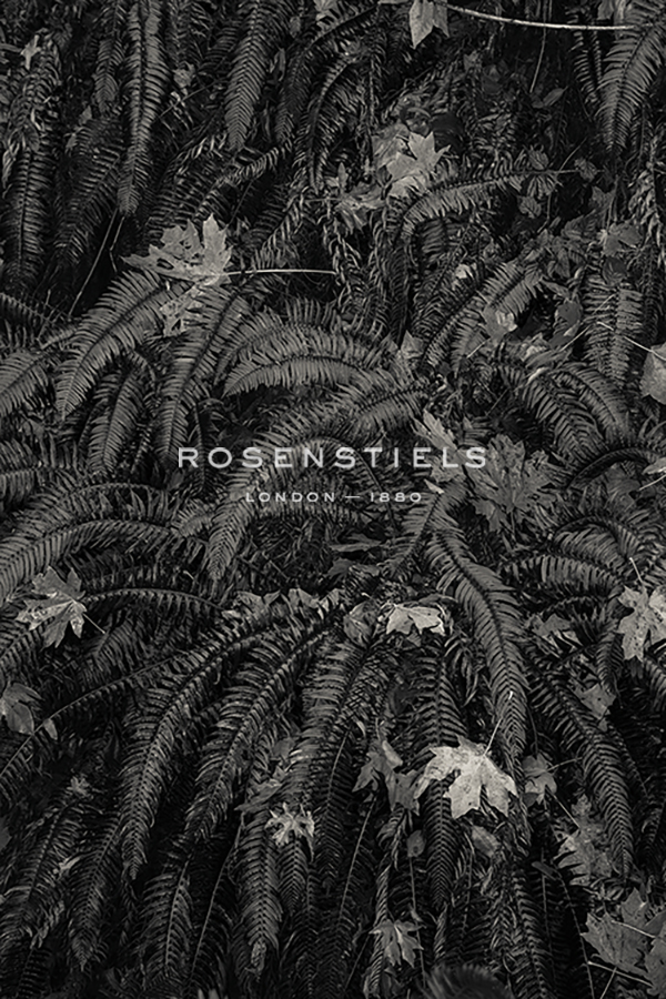 Wild Views - Andrew Geiger