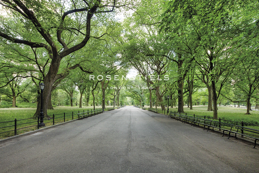 Quiet Parkway - Jakob Dahlin