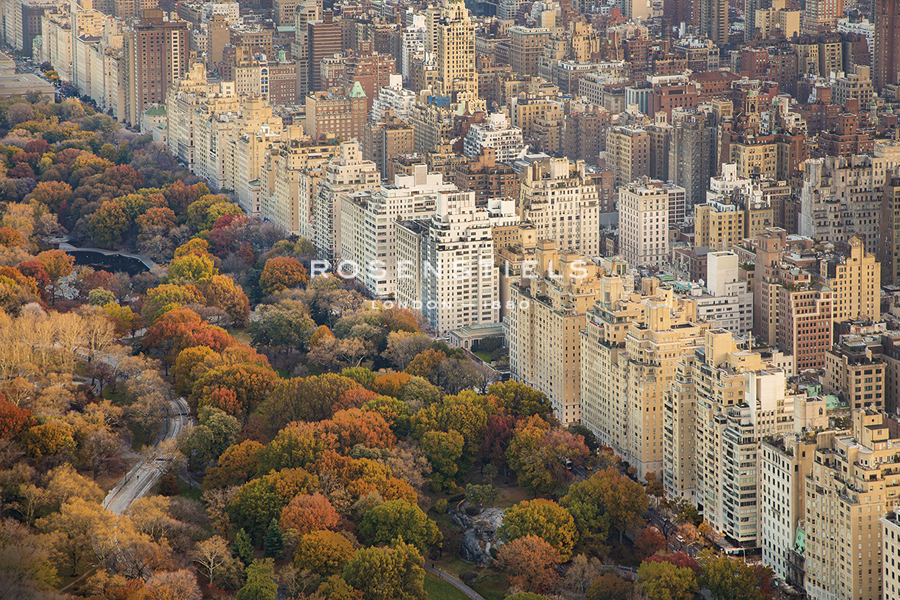 City in Fall - Jakob Dahlin