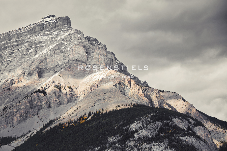 Bold Pinnacle - Irene Suchocki