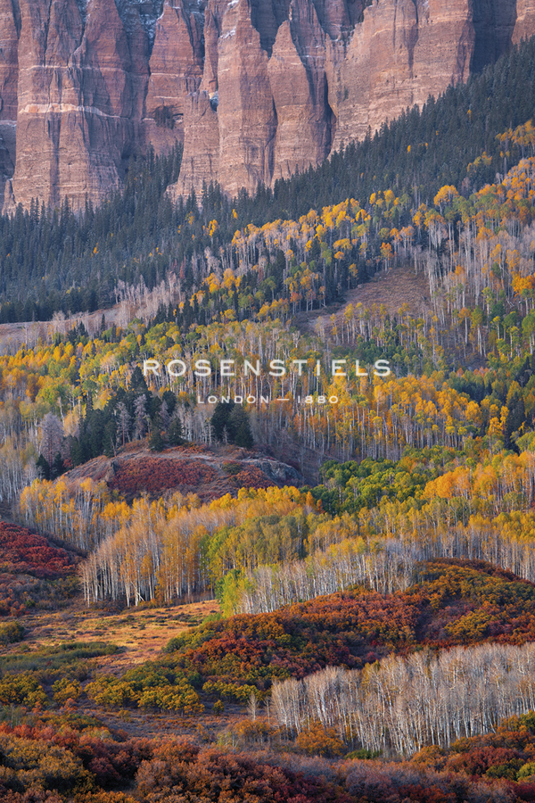 Wilderness Fall - Joe Cornish