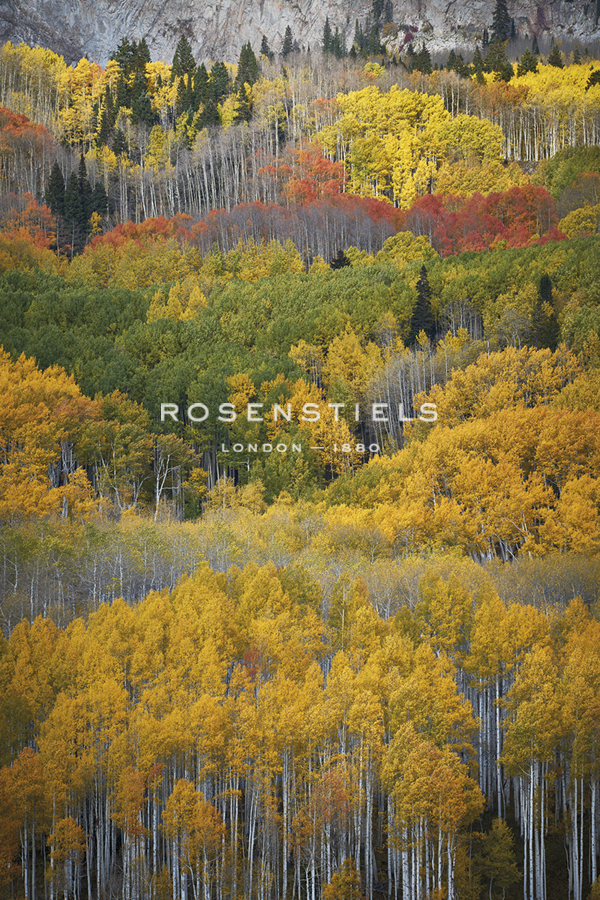 Colorado Fall - Joe Cornish