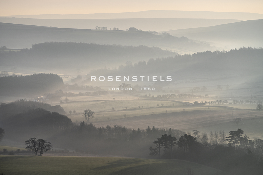 Delicate Mist - Joe Cornish