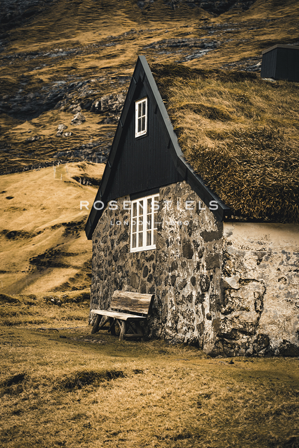 Disguised in Nature - Florian Schleinig