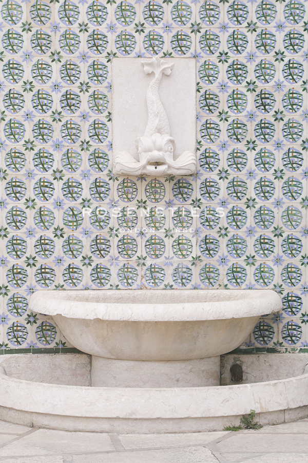 Fountain Focus - Adorn - Carina Okula