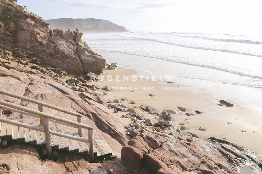 Hidden Cove - Carina Okula