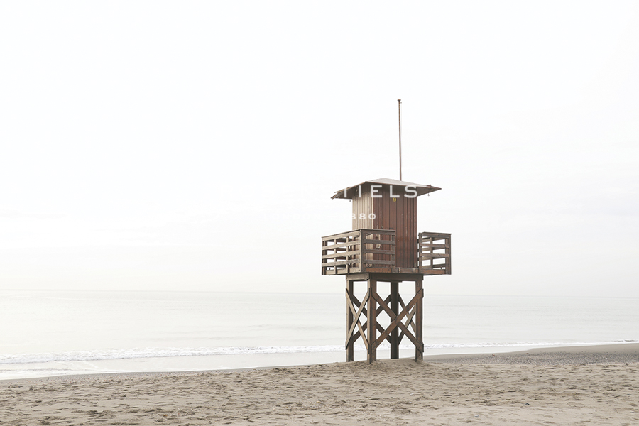 High Perch - Carina Okula