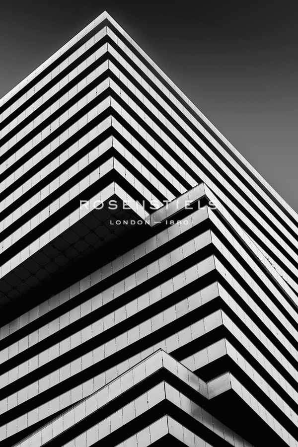 Junction Point - Ash Camas