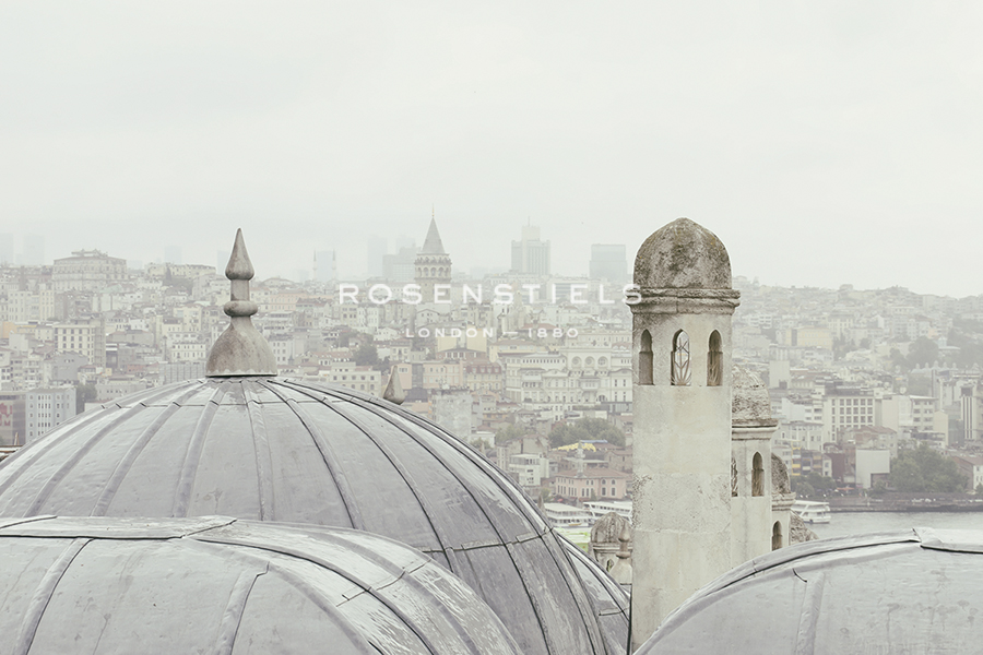 Rooftop Vista - Carina Okula