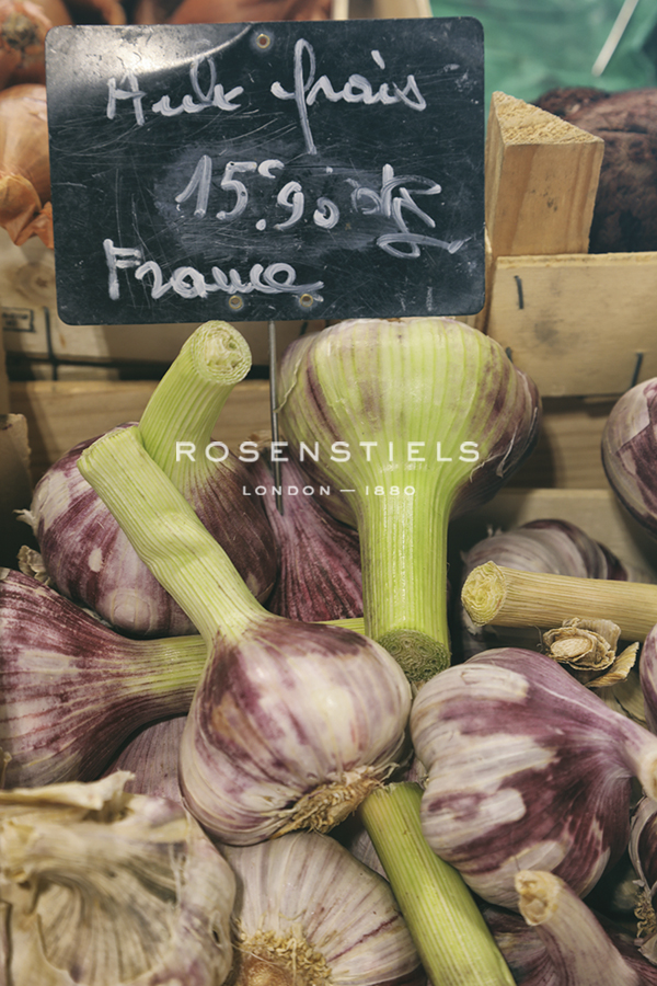 Market Focus - Bulb - Carina Okula