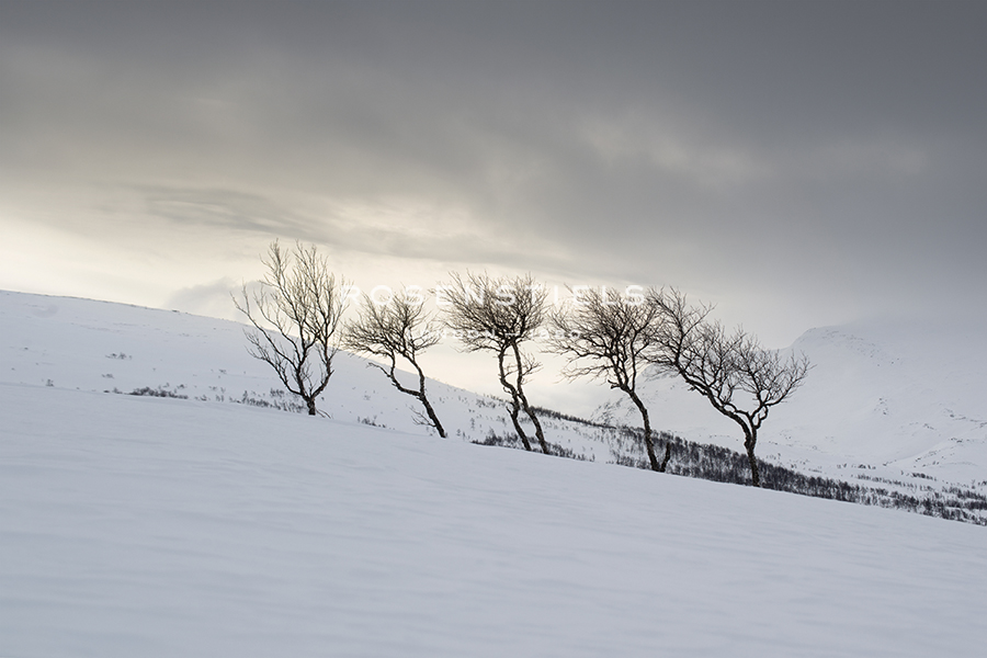 Frozen Hills - Andreas Stridsberg