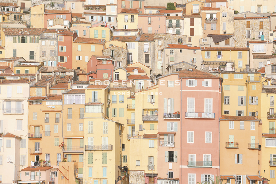 Focused City - Carina Okula