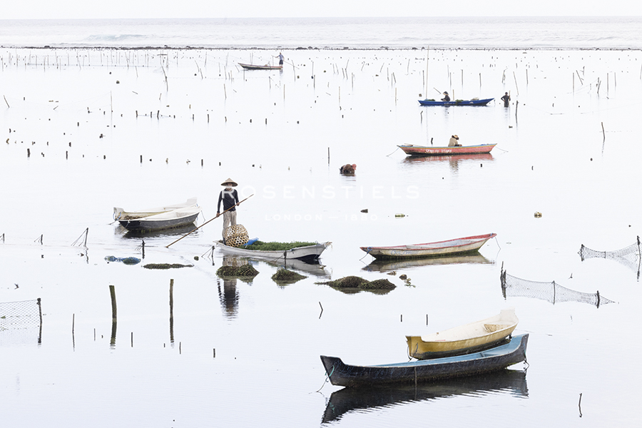 Jukung Fishing - Nathan Secker
