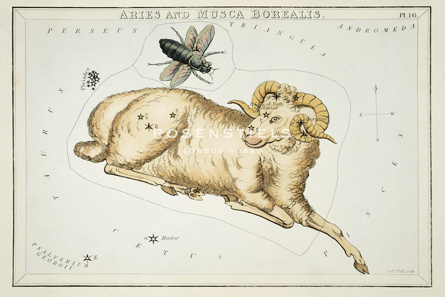 Astrology - Aries - Sidney Hall