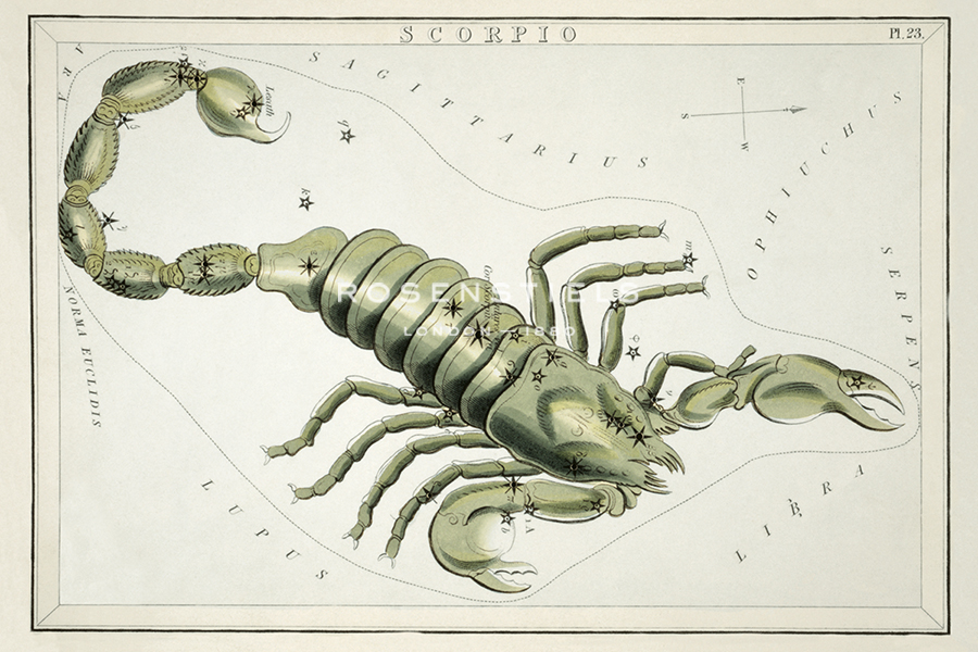 Astrology - Scorpio - Sidney Hall