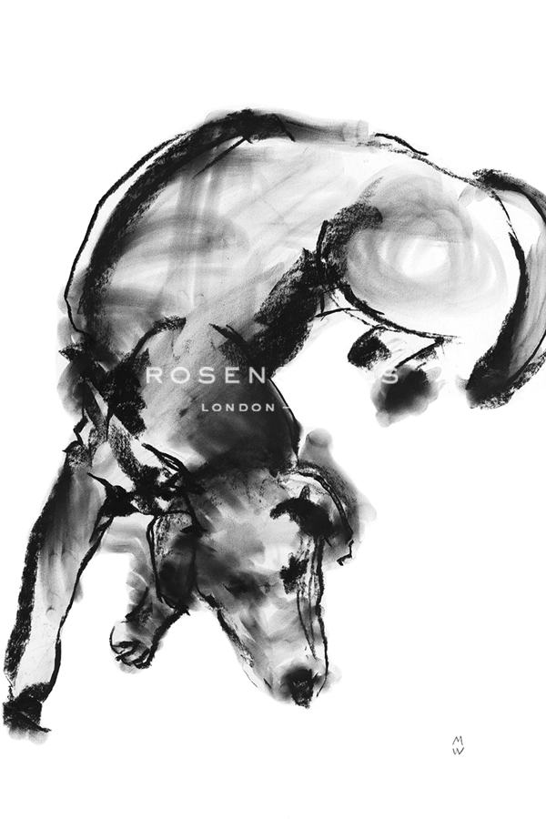 Sketch in Motion - Calm - Manny Woodard
