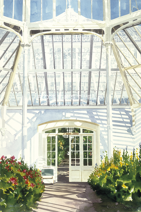 Hothouse Flowers - Richard Akerman