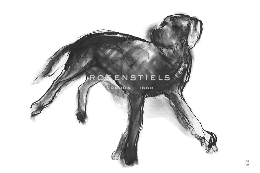 Sketch in Motion - Stretch - Manny Woodard