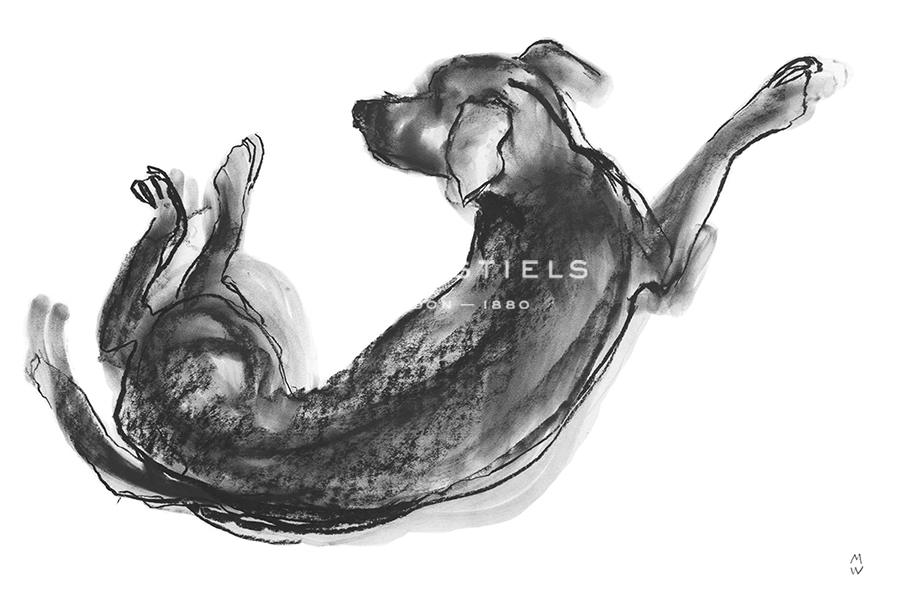 Sketch in Motion - Twist - Manny Woodard