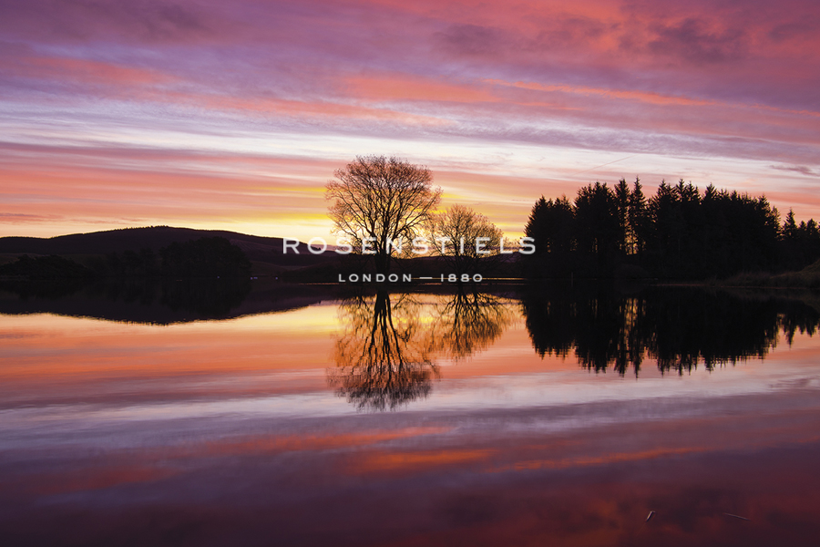 Liquid Sunrise - Andrew  McKay