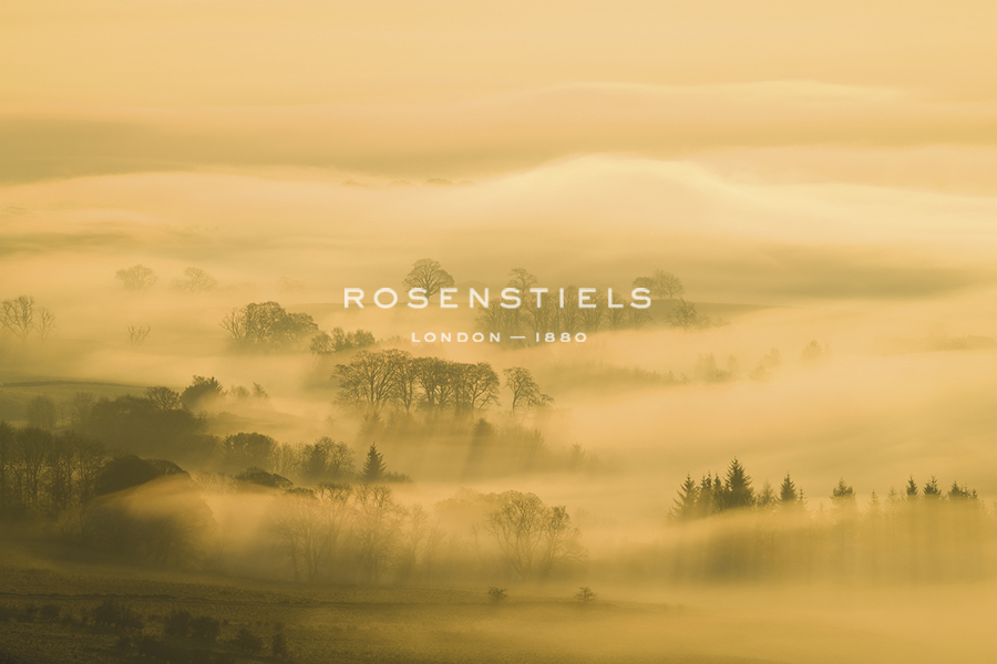 Dawn Mist - Andrew  McKay