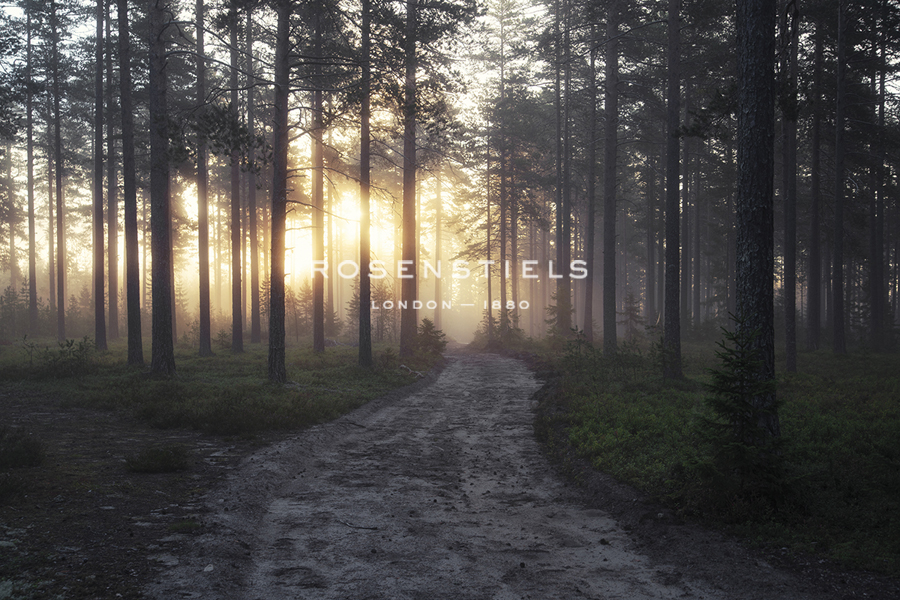 Gentle Sun - Andreas Stridsberg