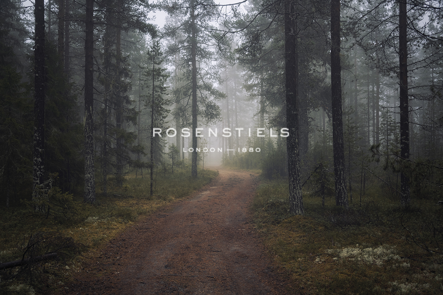 Mysterious Pathway - Andreas Stridsberg