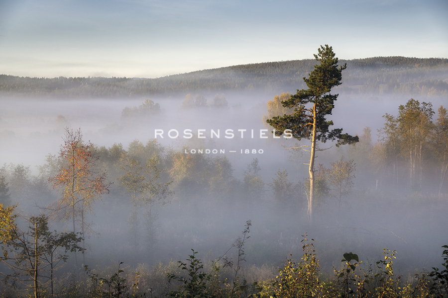 Up Above - Andreas Stridsberg