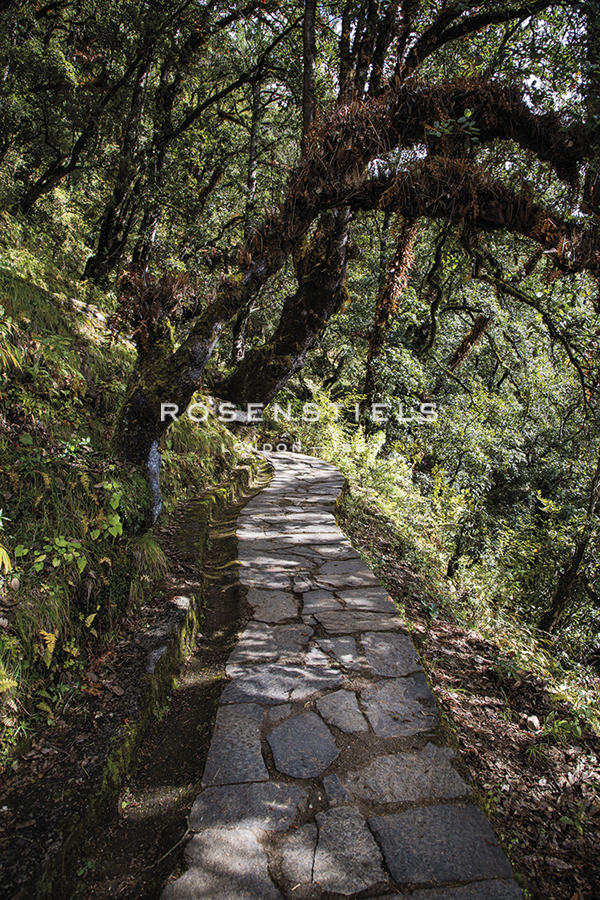 Contemplation Path - Andrew Geiger