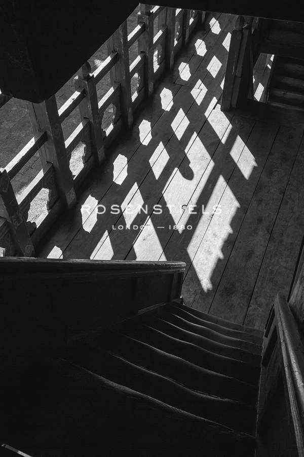 Shadow Light - Andrew Geiger