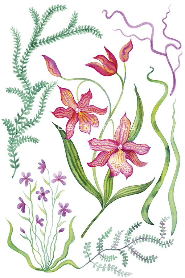 Garden Glow - Thrive - Erika Greenfield