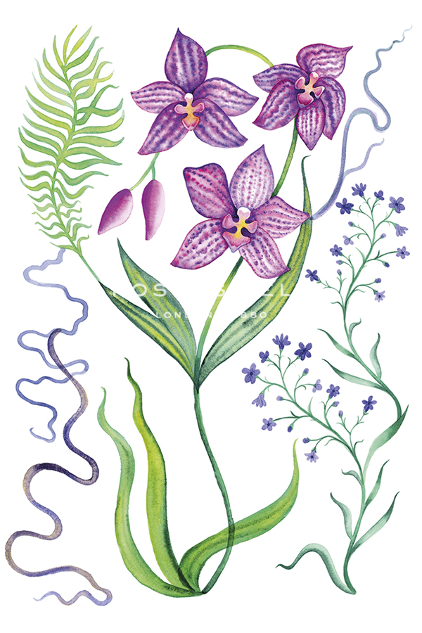 Garden Glow - Growth - Erika Greenfield