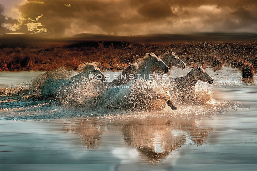 Camargue Water Run - Spatter - Bobbie Goodrich