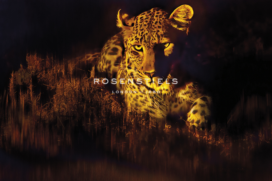Night Stalker - Bobbie Goodrich