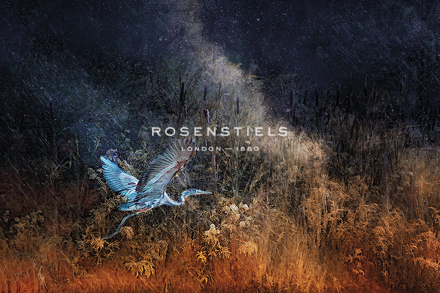 Taking Flight - Bobbie Goodrich