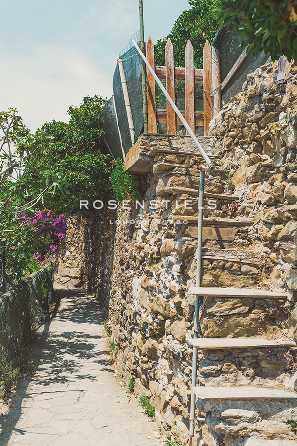 Rural Paths - Florian Schleinig