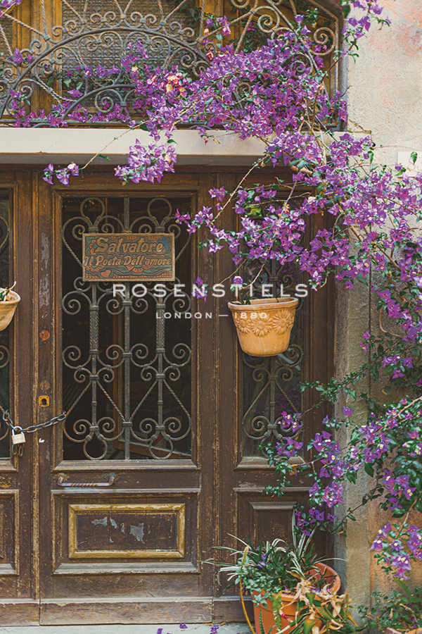 Under the Bougainvillea - Florian Schleinig