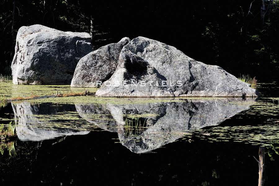Floating Reflection - Mike Toy